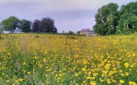 Castletownmoor Clinic & Permaculture Farm